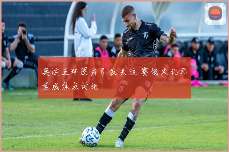 奥运五环图片引发关注 赛场文化元素成焦点讨论