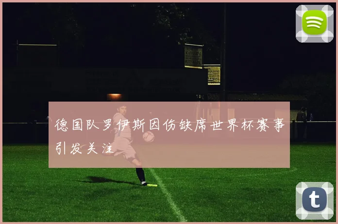 德国队罗伊斯因伤缺席世界杯赛事引发关注