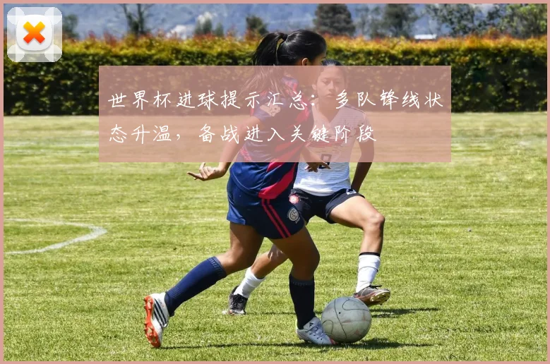 世界杯进球提示汇总：多队锋线状态升温，备战进入关键阶段